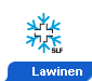 Lawinen info